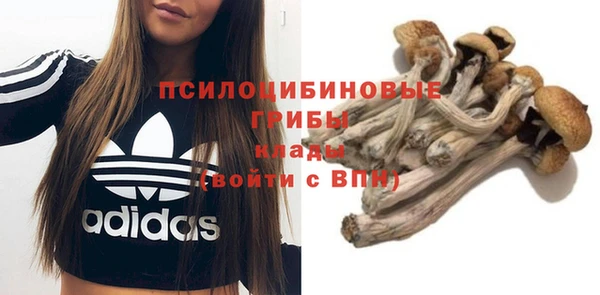 кокаин колумбия Ельня