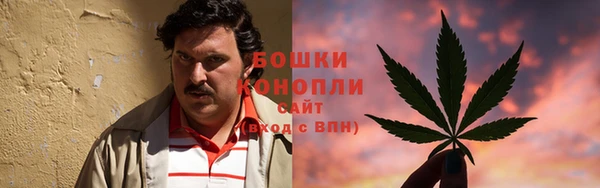 mdpv Елабуга