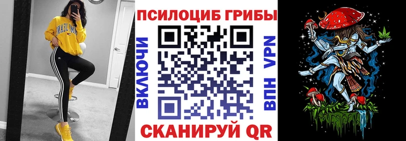 Галлюциногенные грибы Psilocybe  нарко площадка телеграм  Юрга 